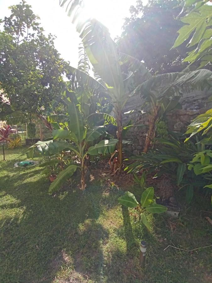 Le Goyavier Apartment Saint-Pierre Ngoại thất bức ảnh